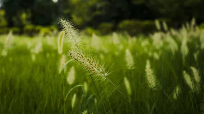 大家可以考虑支持下我的小事业