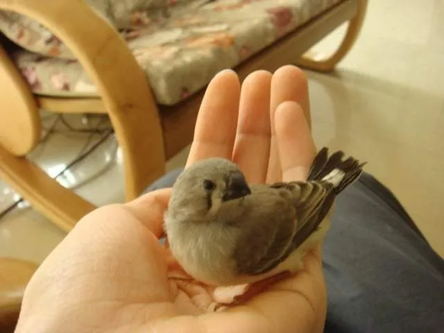 dsc000011