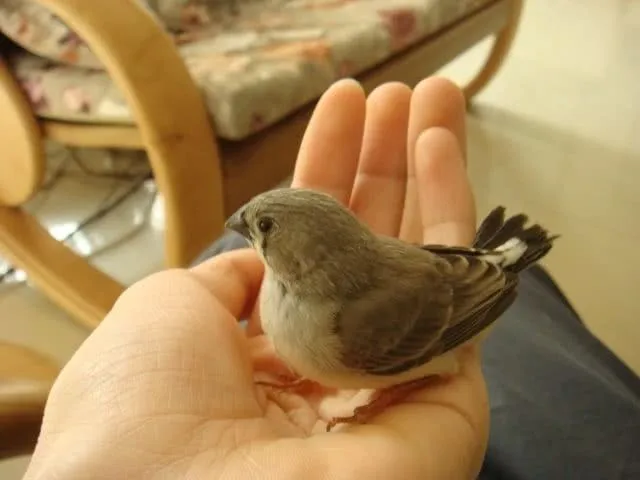 dsc000012