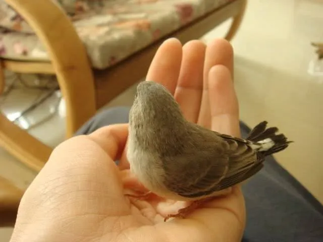dsc000013