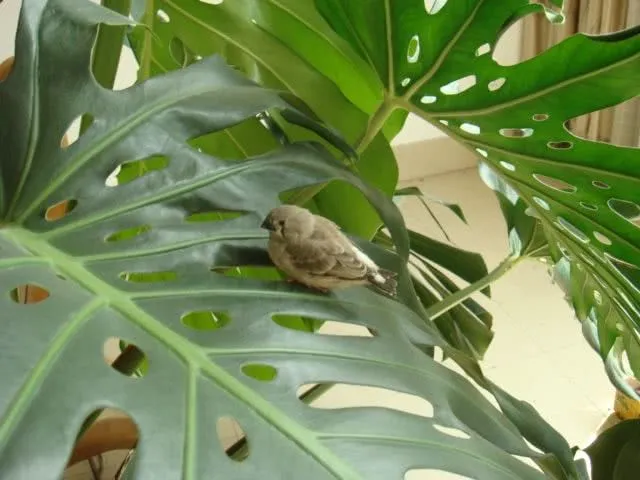 dsc00001